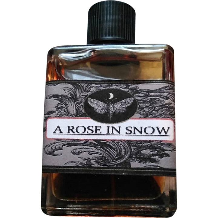 A Rose in Snow